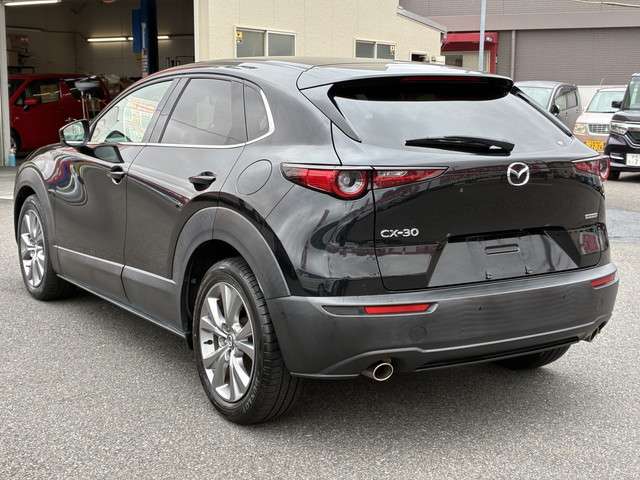 Mazda CX-30 11