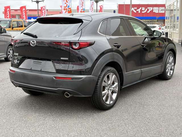Mazda CX-30 9