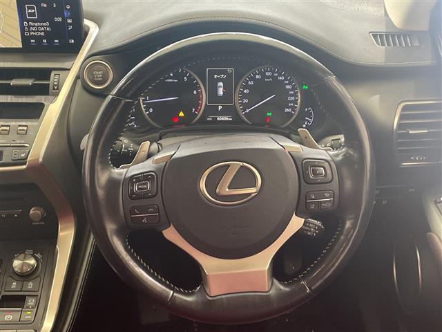 Lexus NX 10