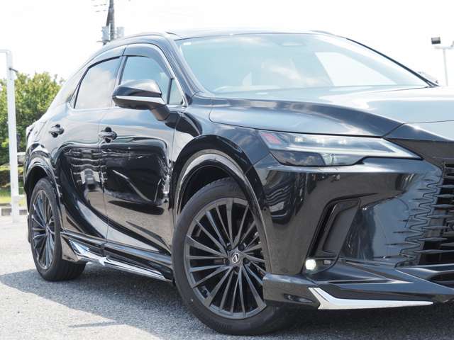 Lexus RX 11