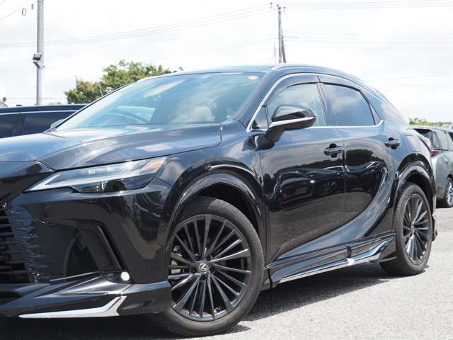 Lexus RX 12