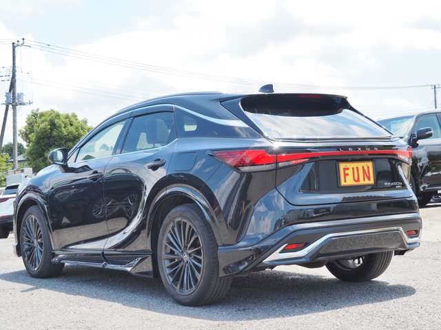 Lexus RX 6