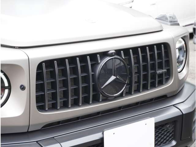 Mercedes-Benz G-Class 6