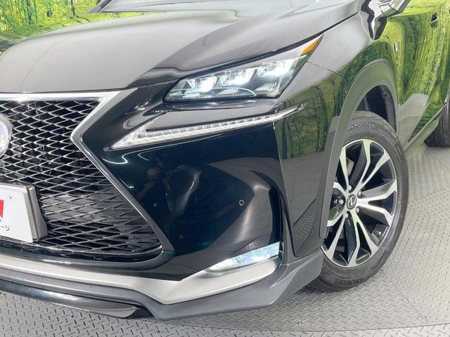 Lexus NX 12