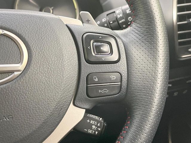 Lexus NX 4