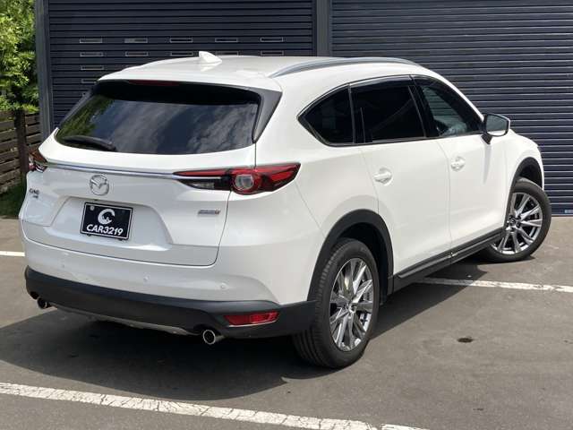 Mazda CX-8 12