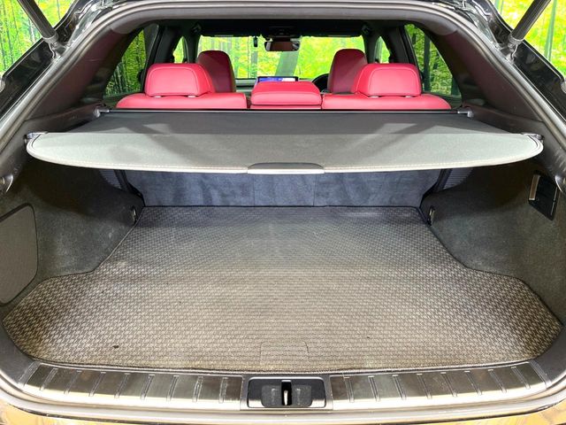 Lexus RX 11