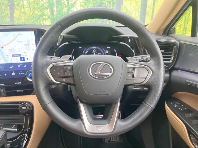 Lexus NX 11