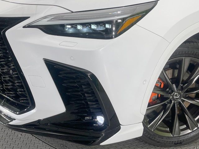 Lexus NX 12