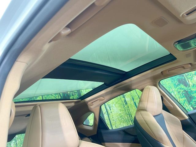 Lexus NX 3