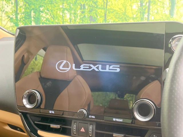 Lexus NX 4