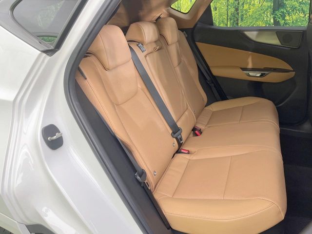 Lexus NX 9