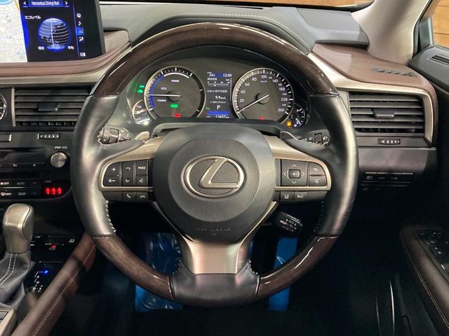 Lexus RX 11