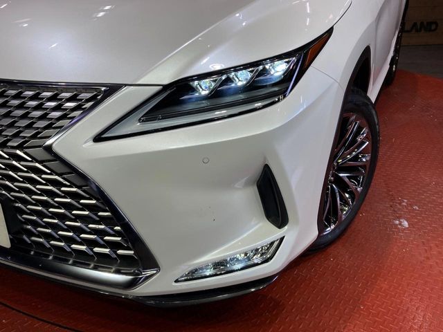 Lexus RX 12