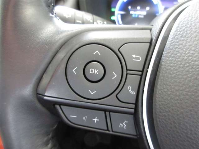 Toyota RAV4 10