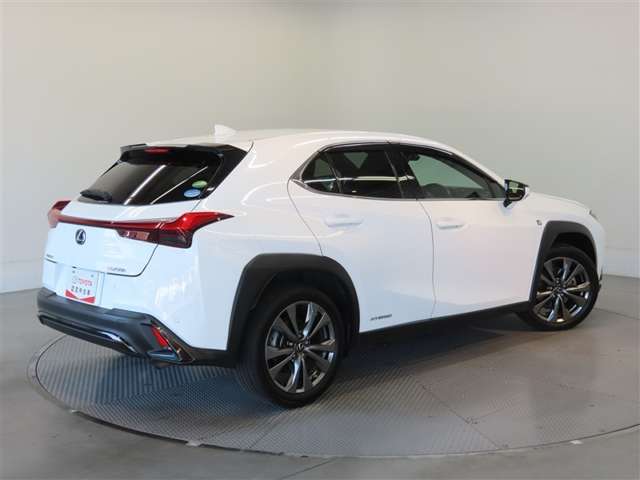 Lexus UX 6