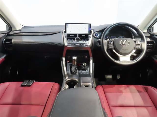 Lexus NX 4