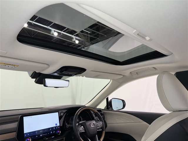 Lexus RX 9