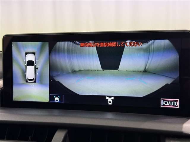 Lexus NX 12