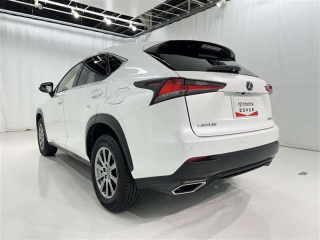 Lexus NX 6