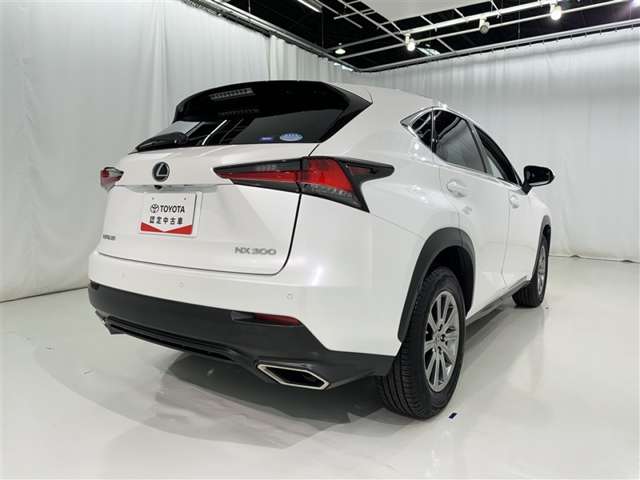 Lexus NX 7