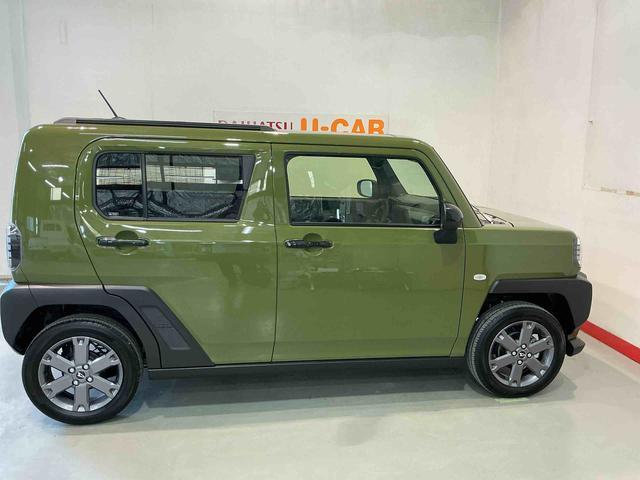 Daihatsu Taft 12