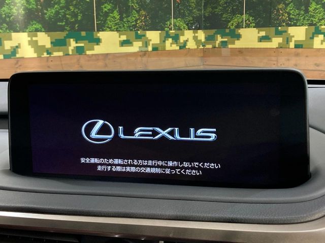 Lexus RX 4