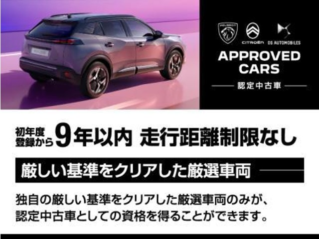 Peugeot SUV e-2008 6
