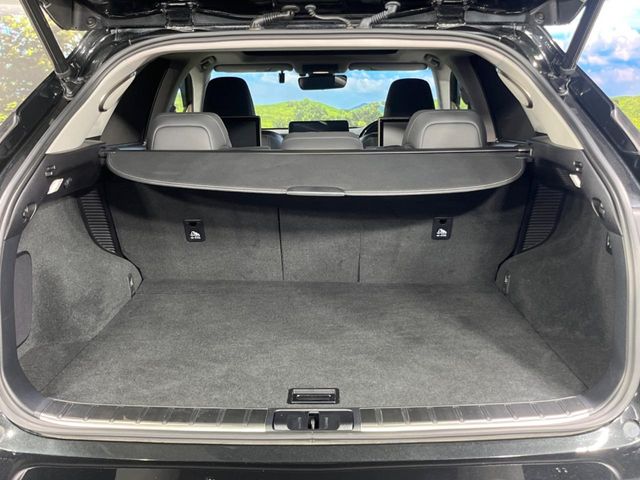 Lexus RX 11