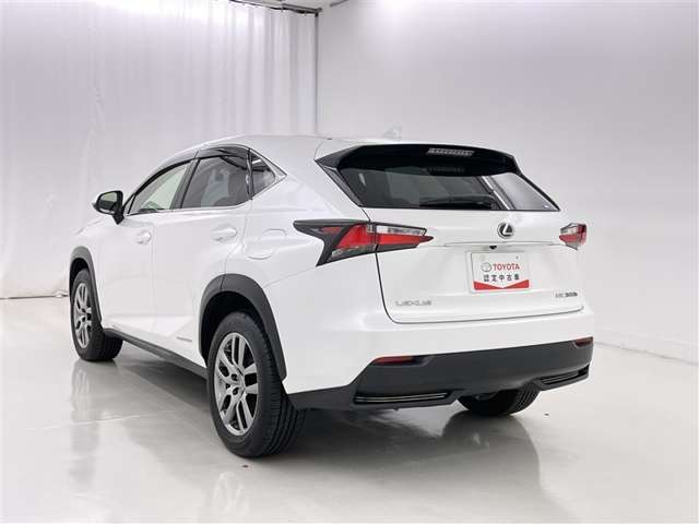 Lexus NX 7