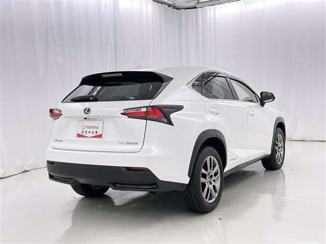 Lexus NX 8