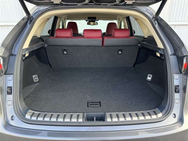 Lexus NX 4