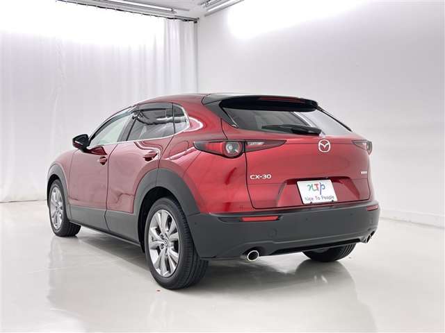 Mazda CX-30 6