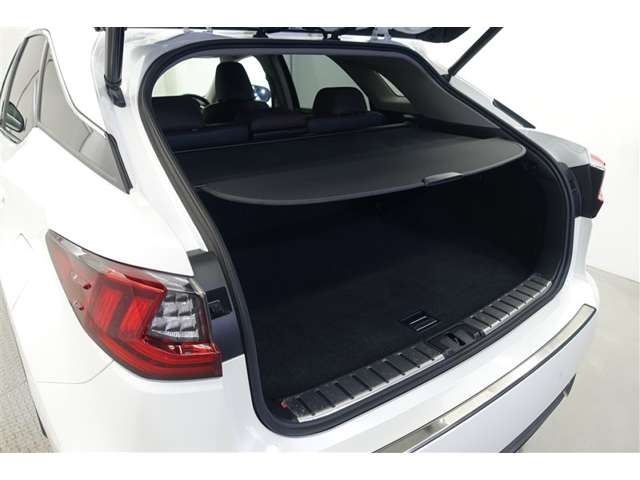 Lexus RX 11