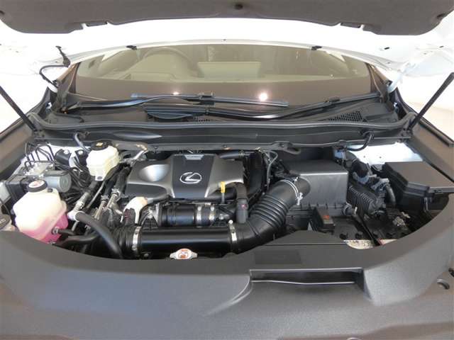 Lexus RX 9