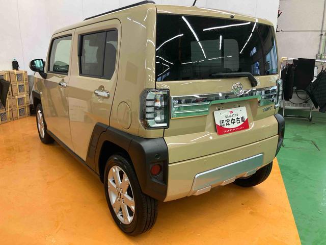 Daihatsu Taft 12