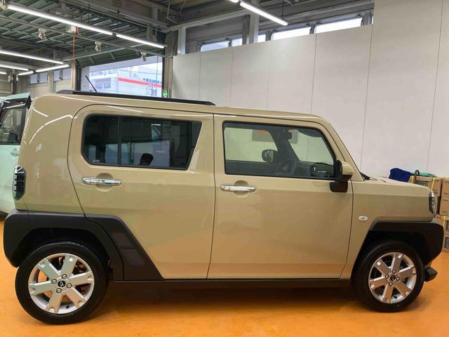 Daihatsu Taft 8