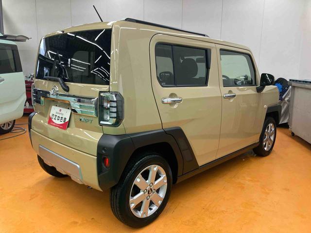 Daihatsu Taft 10