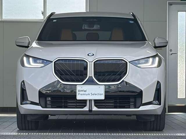 BMW X3 8