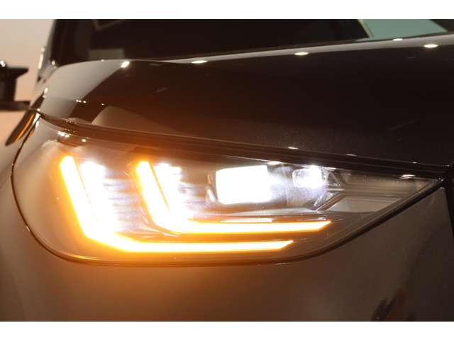 BMW X3 9