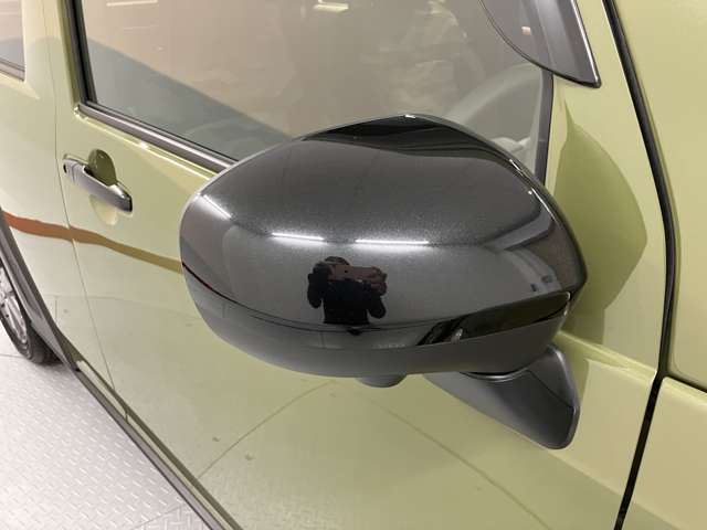 Daihatsu Taft 9