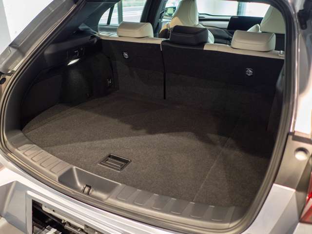 Lexus UX 11