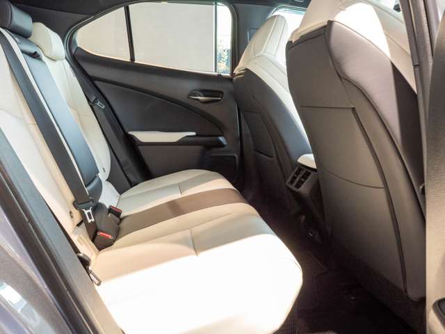 Lexus UX 12