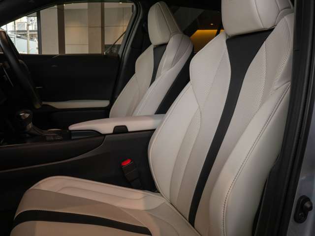 Lexus UX 6