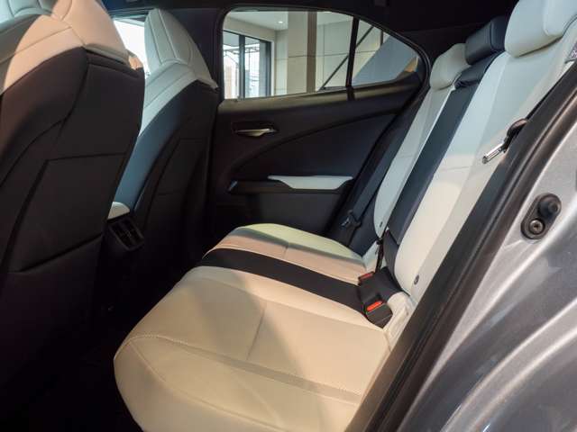 Lexus UX 7