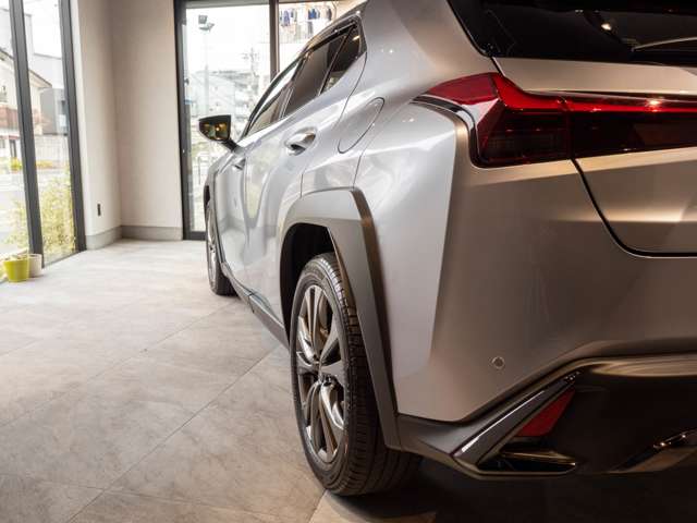 Lexus UX 8