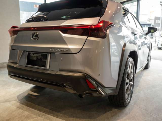 Lexus UX 9