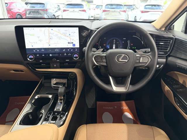 Lexus NX 11