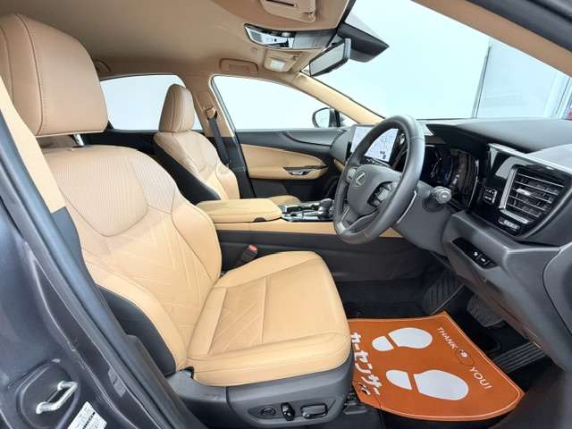 Lexus NX 12