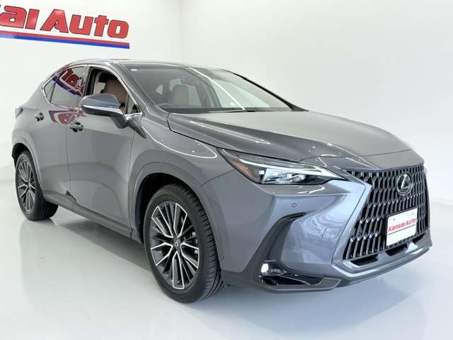 Lexus NX 6